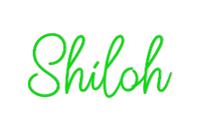 Thumbnail for Custom Neon: Shiloh by Neon Icons